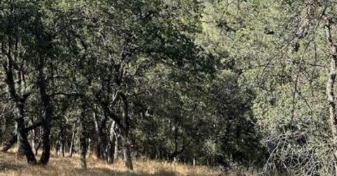 Redhill Way, Browns Valley, CA 95918 Photo