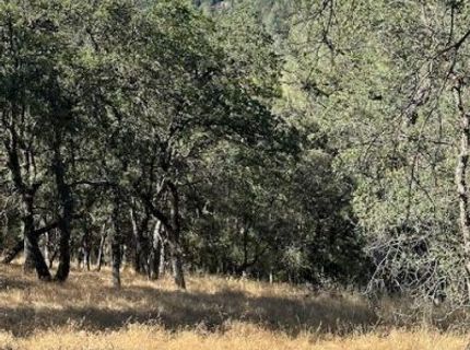 Redhill Way, Browns Valley, CA 95918 Photo