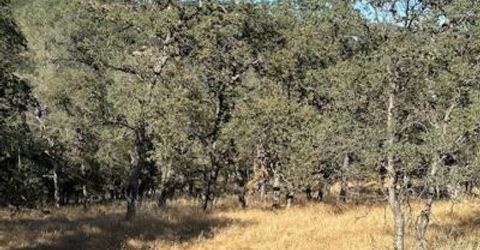 Redhill Way, Browns Valley, CA 95918 Photo