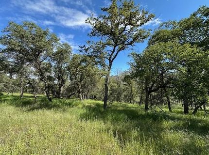 Redhill Way, Browns Valley, CA 95918 Photo