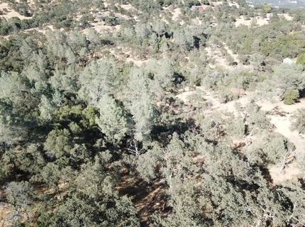 Redhill Way, Browns Valley, CA 95918 Photo