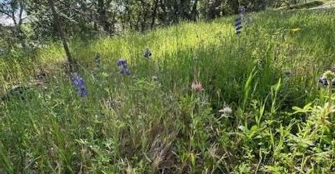 Redhill Way, Browns Valley, CA 95918 Photo