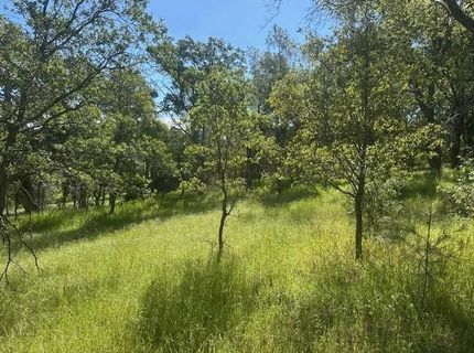 Redhill Way, Browns Valley, CA 95918 Photo