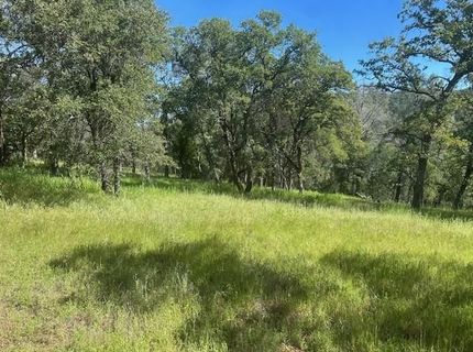 Redhill Way, Browns Valley, CA 95918 Photo