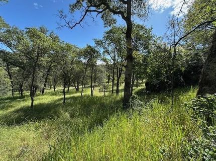 Redhill Way, Browns Valley, CA 95918 Photo