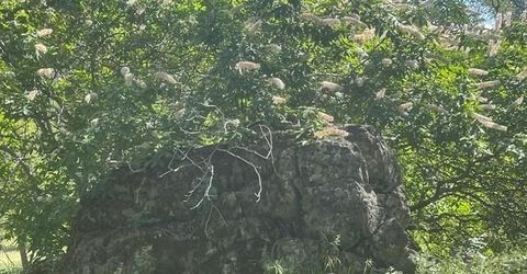 Redhill Way, Browns Valley, CA 95918 Photo