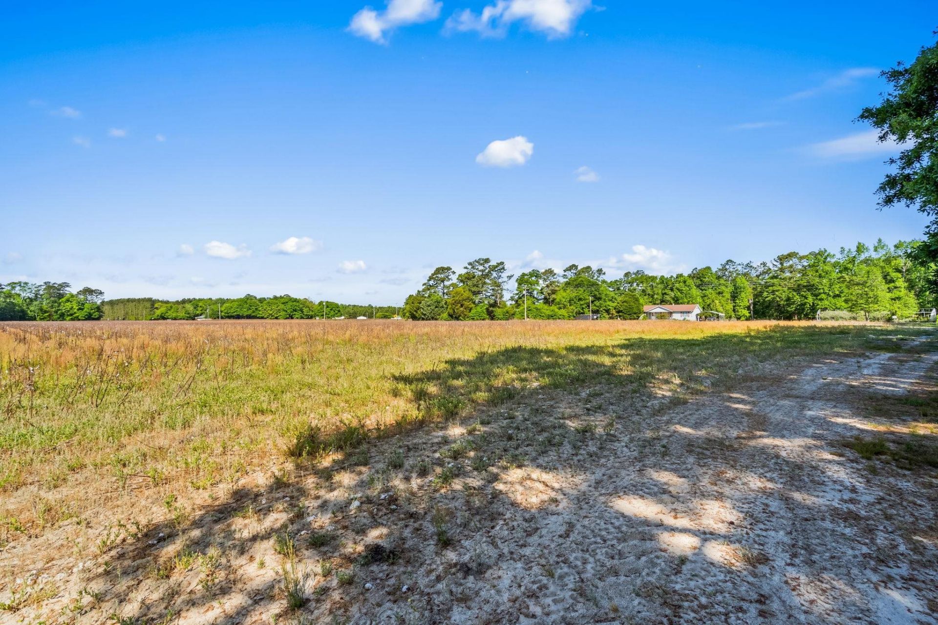 Tbd Ray Rd.  Photo 16