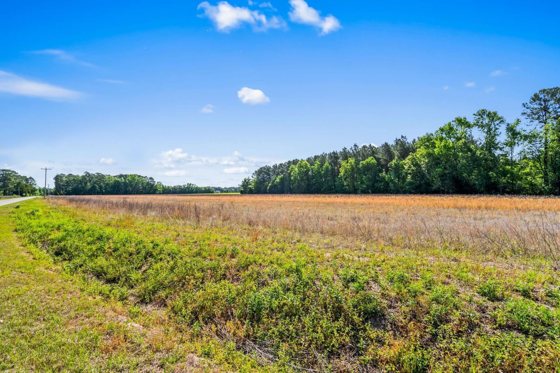 Tbd Ray Rd.  Photo 17