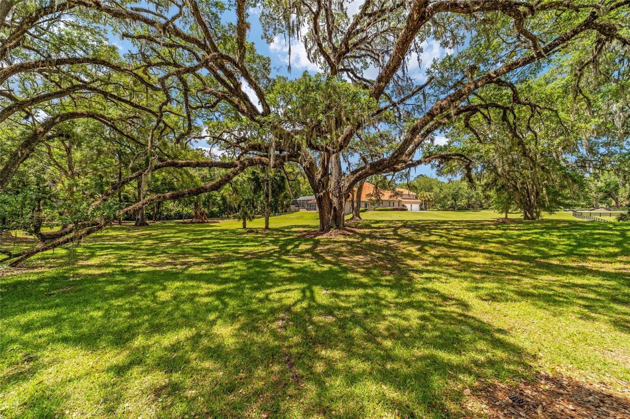 2380 SE 73rd Loop, Ocala, FL 34480 Photo