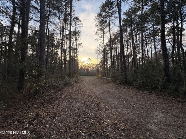 3.98 Acres Pelham Road , Willard, NC 28478