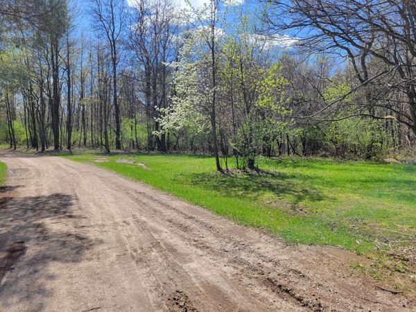 24228 Miami Avenue, Grand Junction, MI 49056