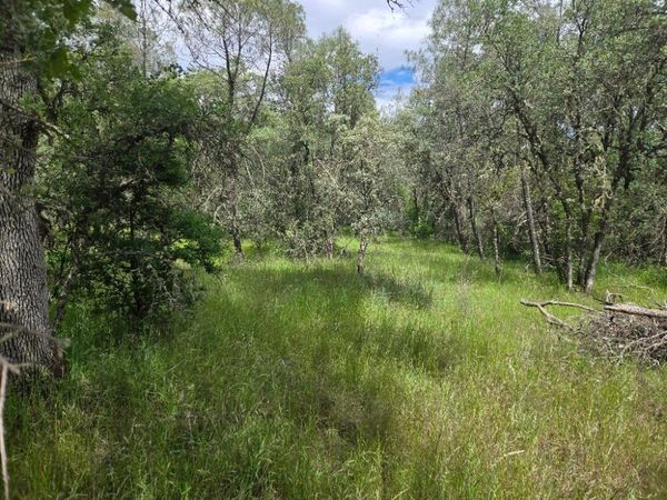 12729 Wolf Rd, Grass Valley, CA 95949