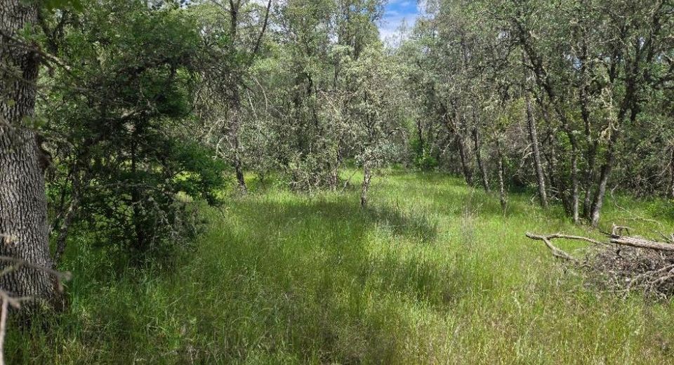 12729 Wolf Rd, Grass Valley, CA 95949 Photo