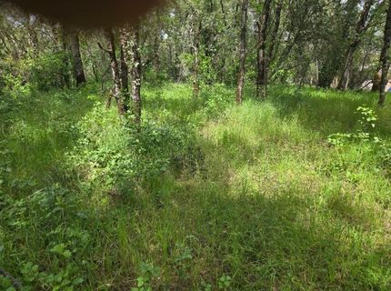 12729 Wolf Rd, Grass Valley, CA 95949 Photo