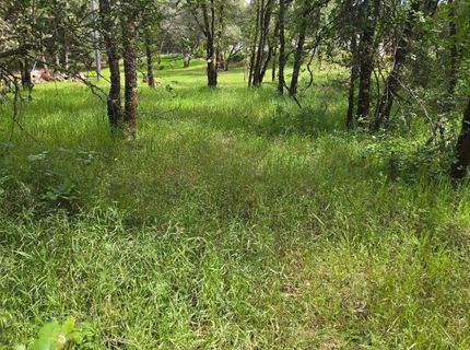 12729 Wolf Rd, Grass Valley, CA 95949 Photo