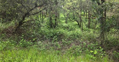 12729 Wolf Rd, Grass Valley, CA 95949 Photo