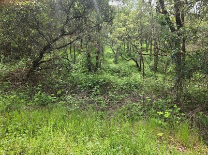 12729 Wolf Rd, Grass Valley, CA 95949 Photo