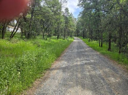 12729 Wolf Rd, Grass Valley, CA 95949 Photo