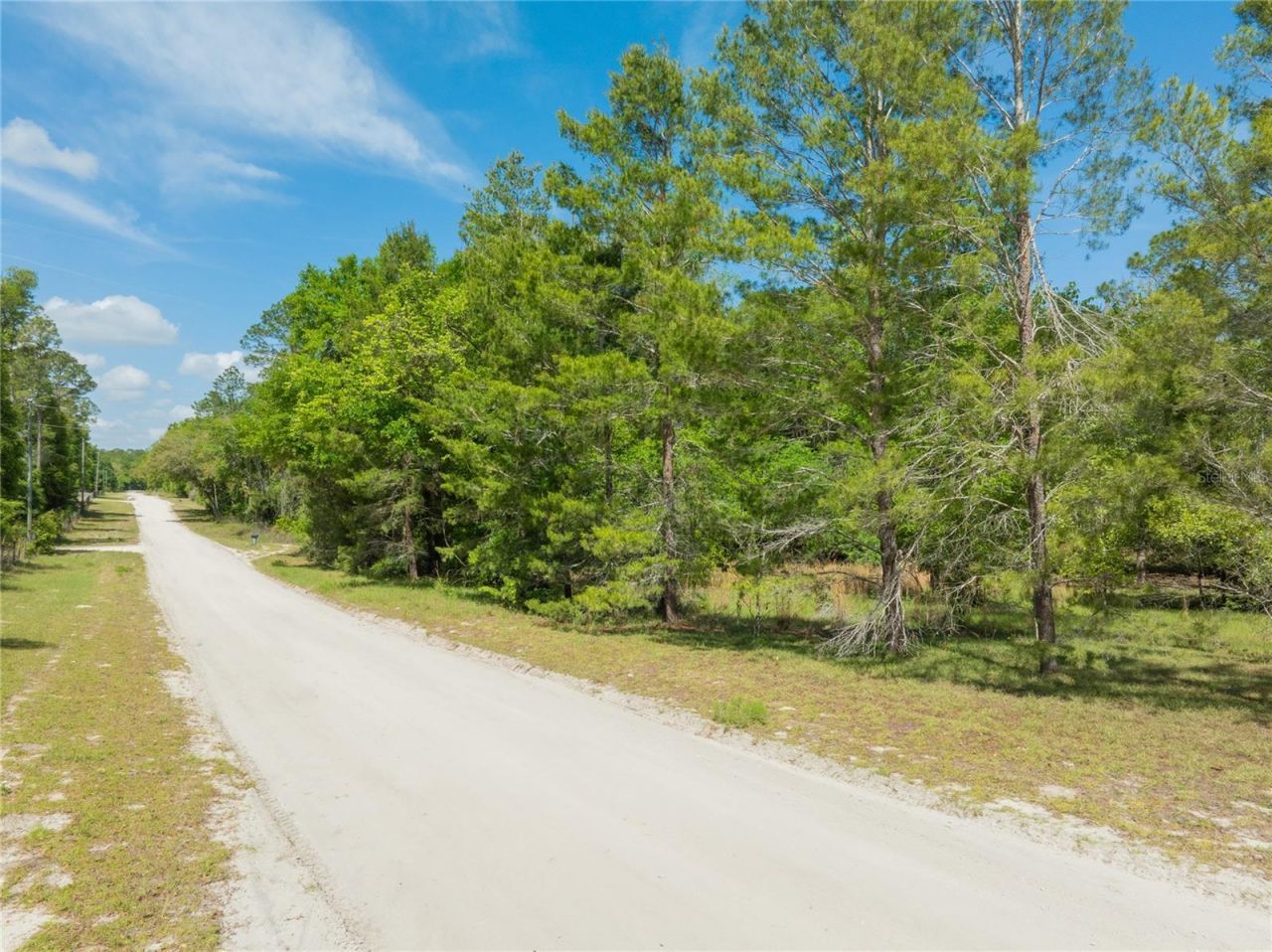 0 Pine Way , O Brien, FL 32071 Photo