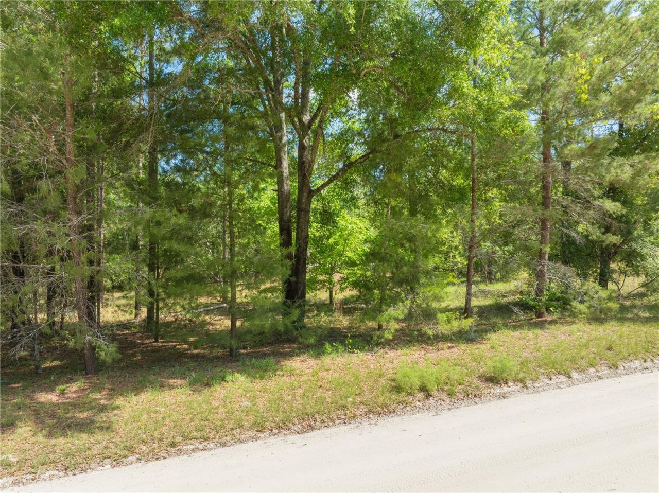 0 Pine Way , O Brien, FL 32071 Photo