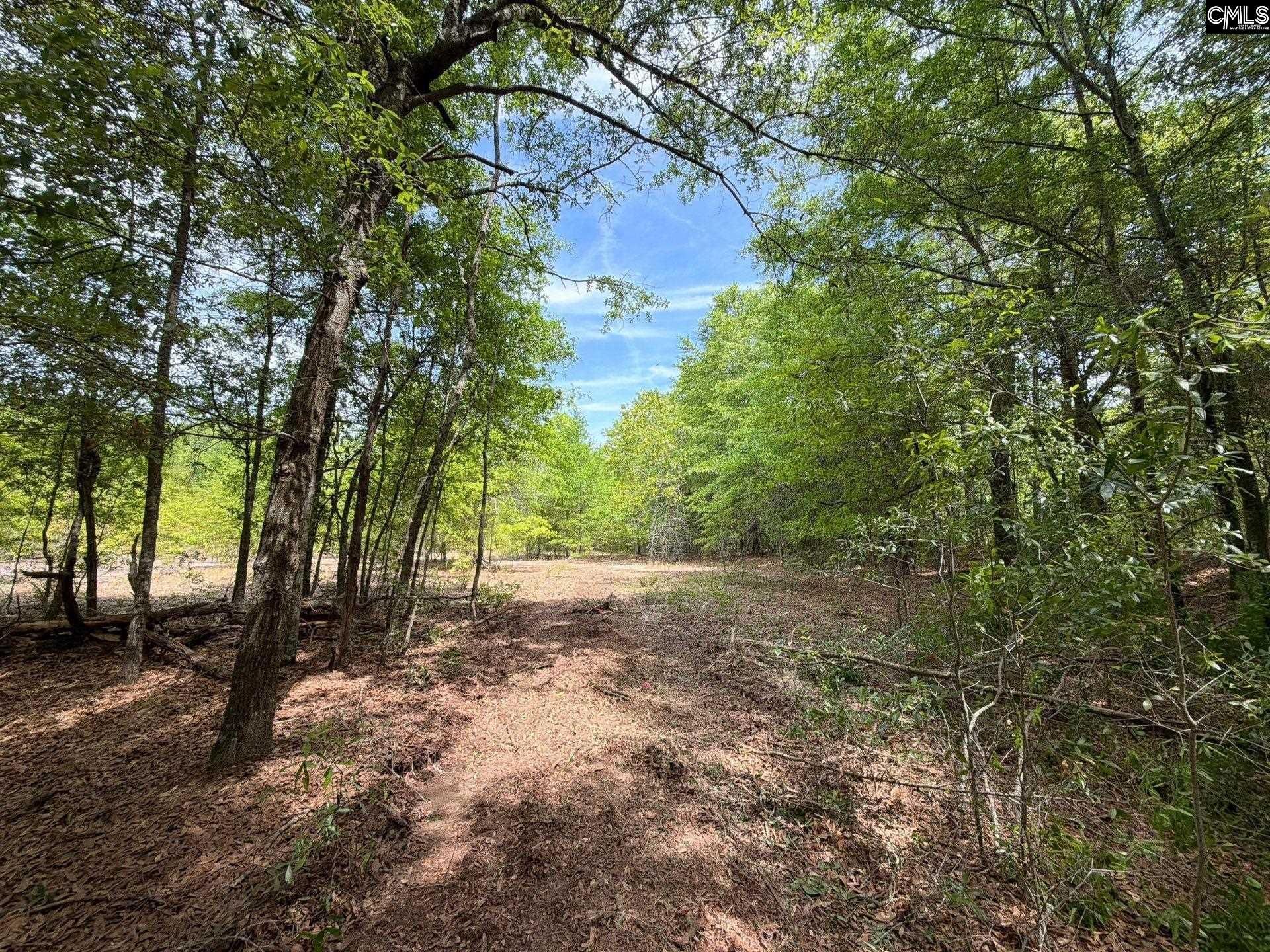 Rrf 5 Rogers Cemetery Road  Photo 7