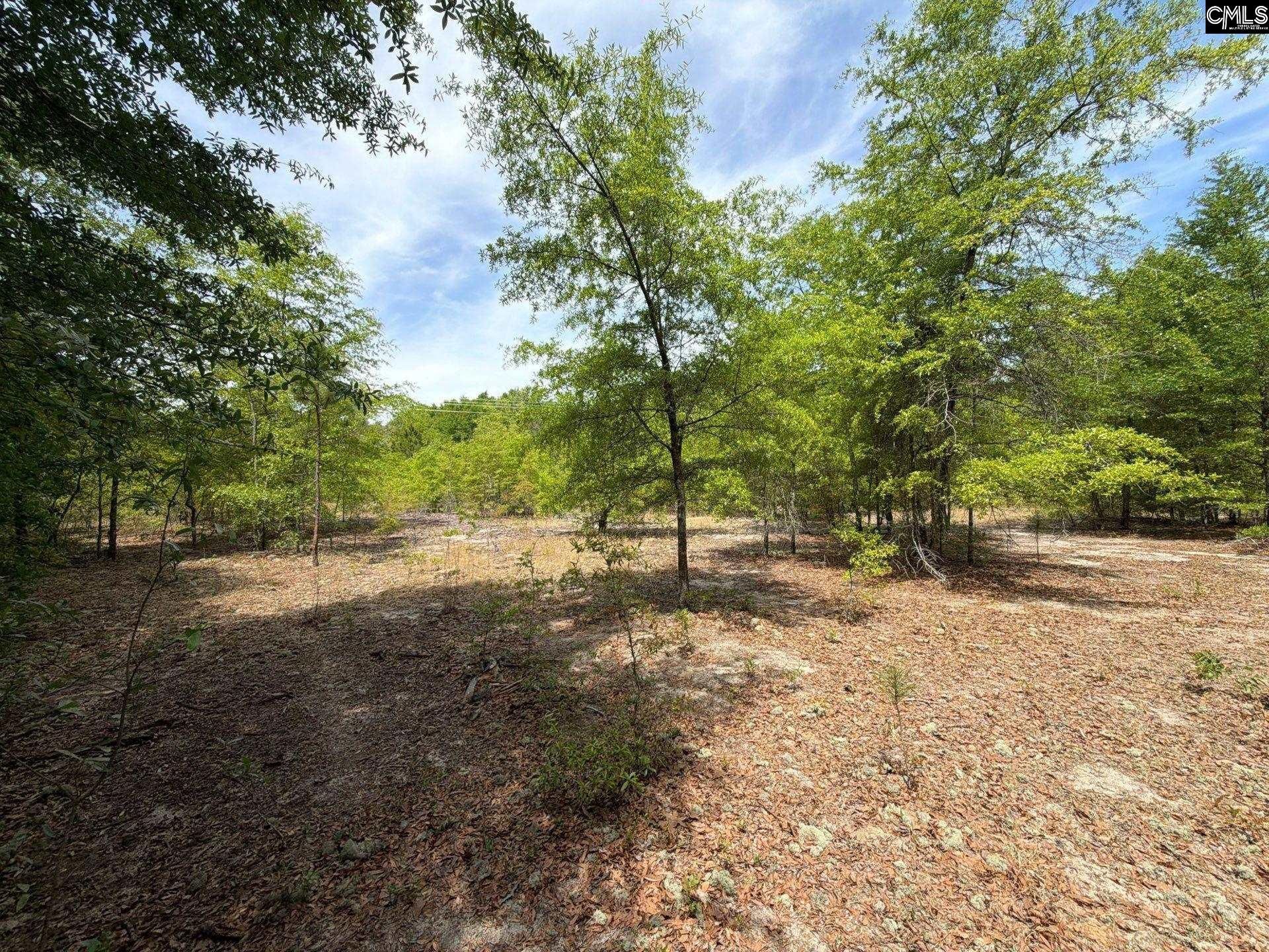 Rrf 5 Rogers Cemetery Road  Photo 9