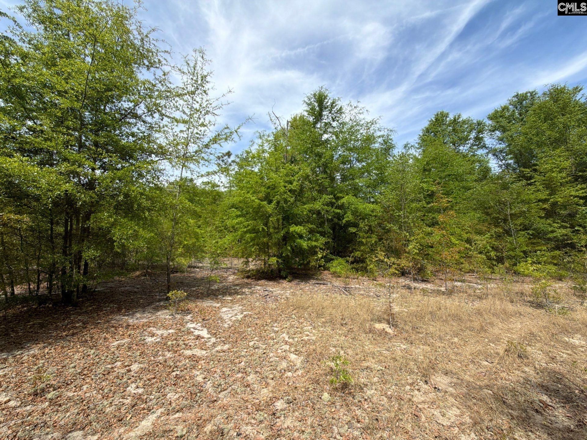 Rrf 5 Rogers Cemetery Road  Photo 10