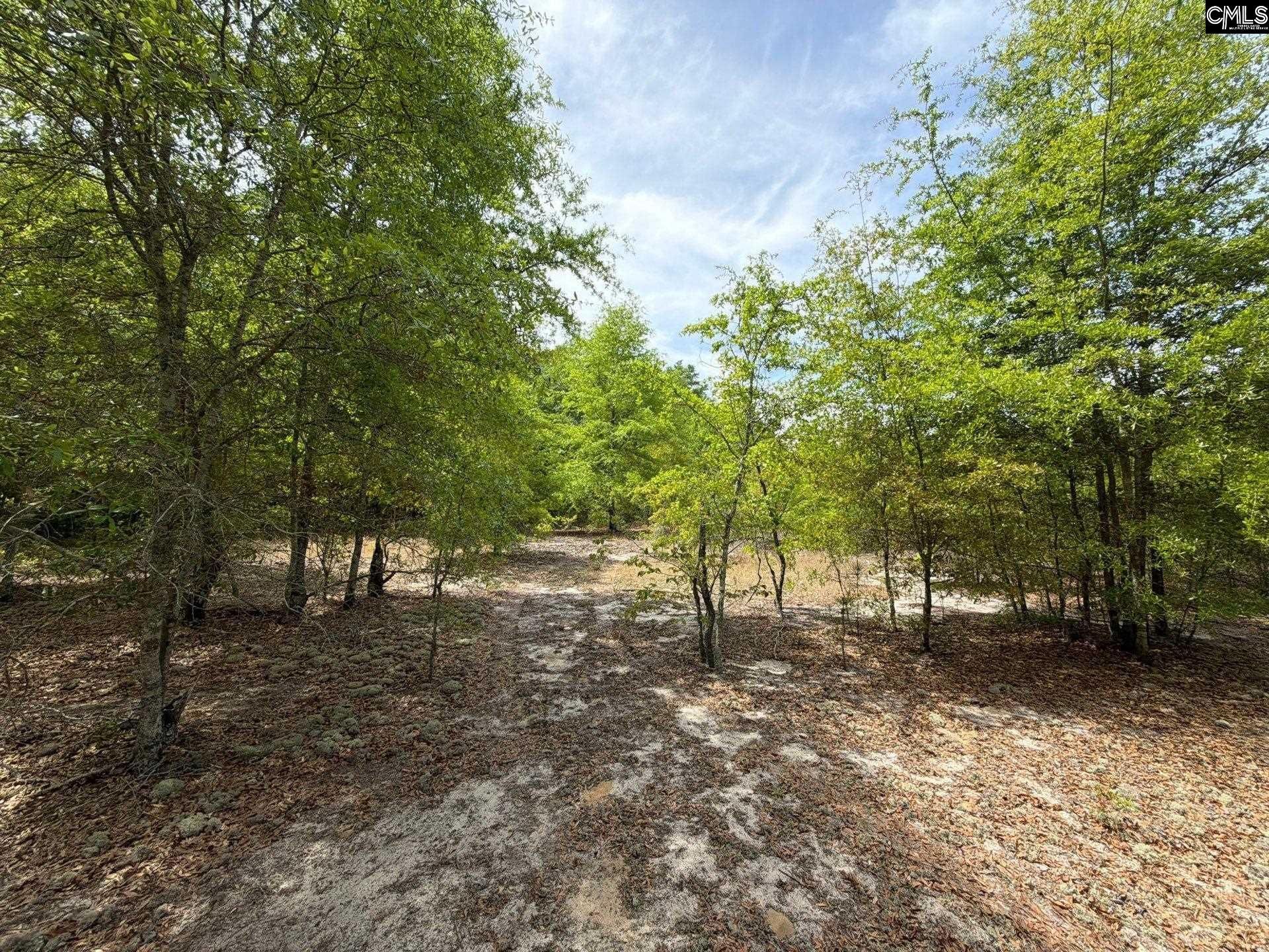 Rrf 5 Rogers Cemetery Road  Photo 11