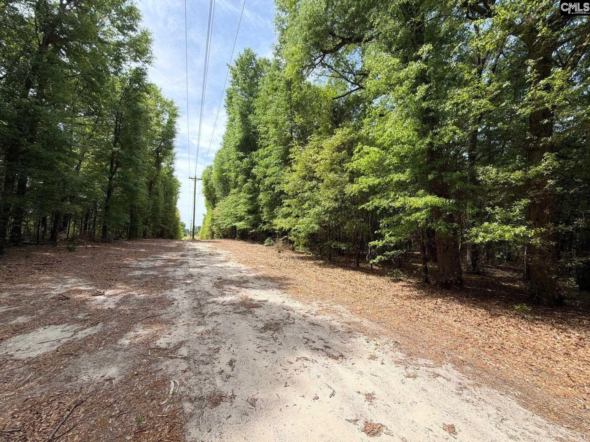 Rrf 5 Rogers Cemetery Road  Photo 17