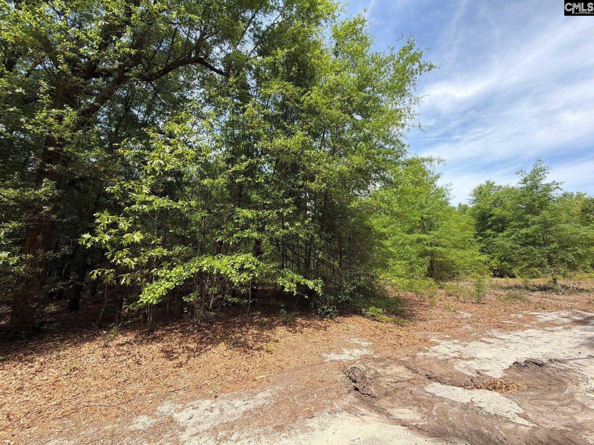 Rrf 5 Rogers Cemetery Road  Photo 18