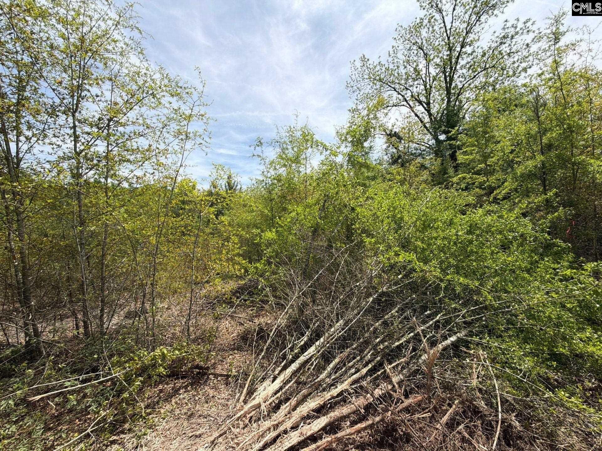 Rrf 5 Rogers Cemetery Road  Photo 19