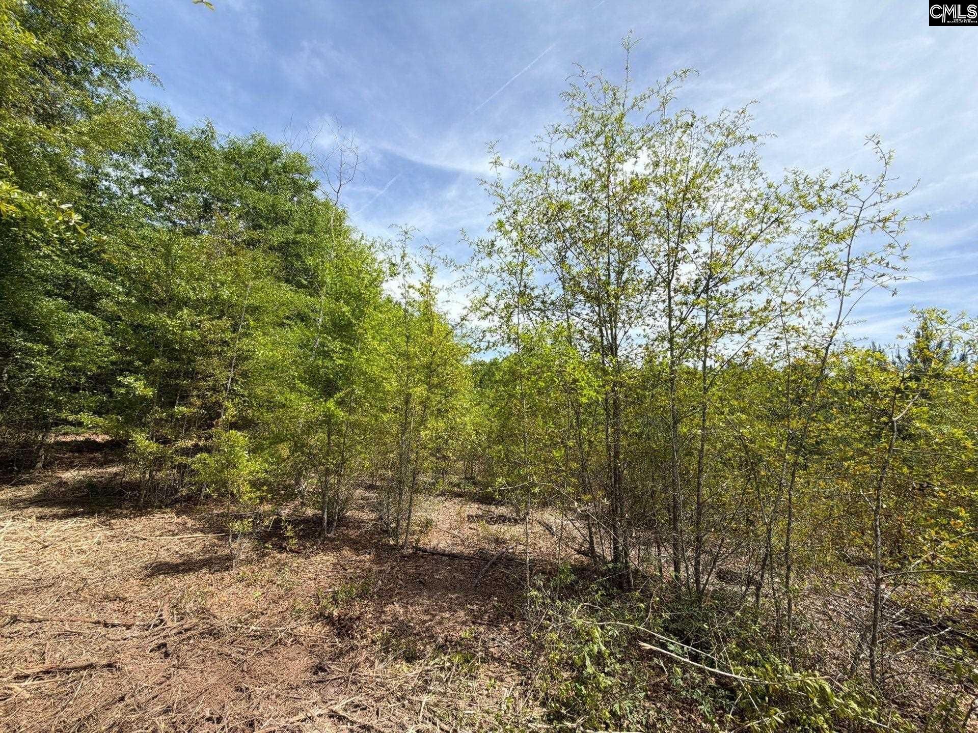 Rrf 5 Rogers Cemetery Road  Photo 20