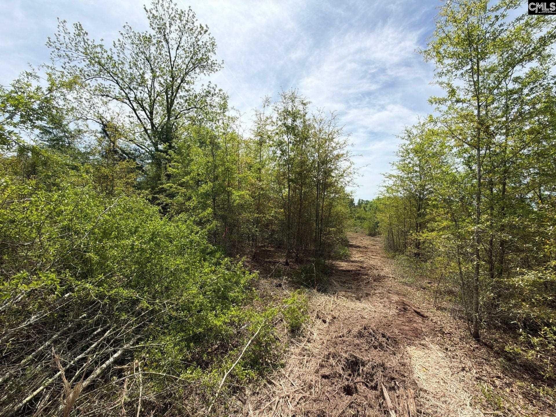 Rrf 5 Rogers Cemetery Road  Photo 21