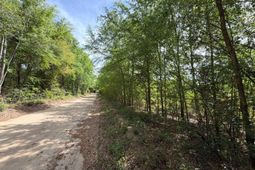 Rrf 5 Rogers Cemetery Road  photo 4