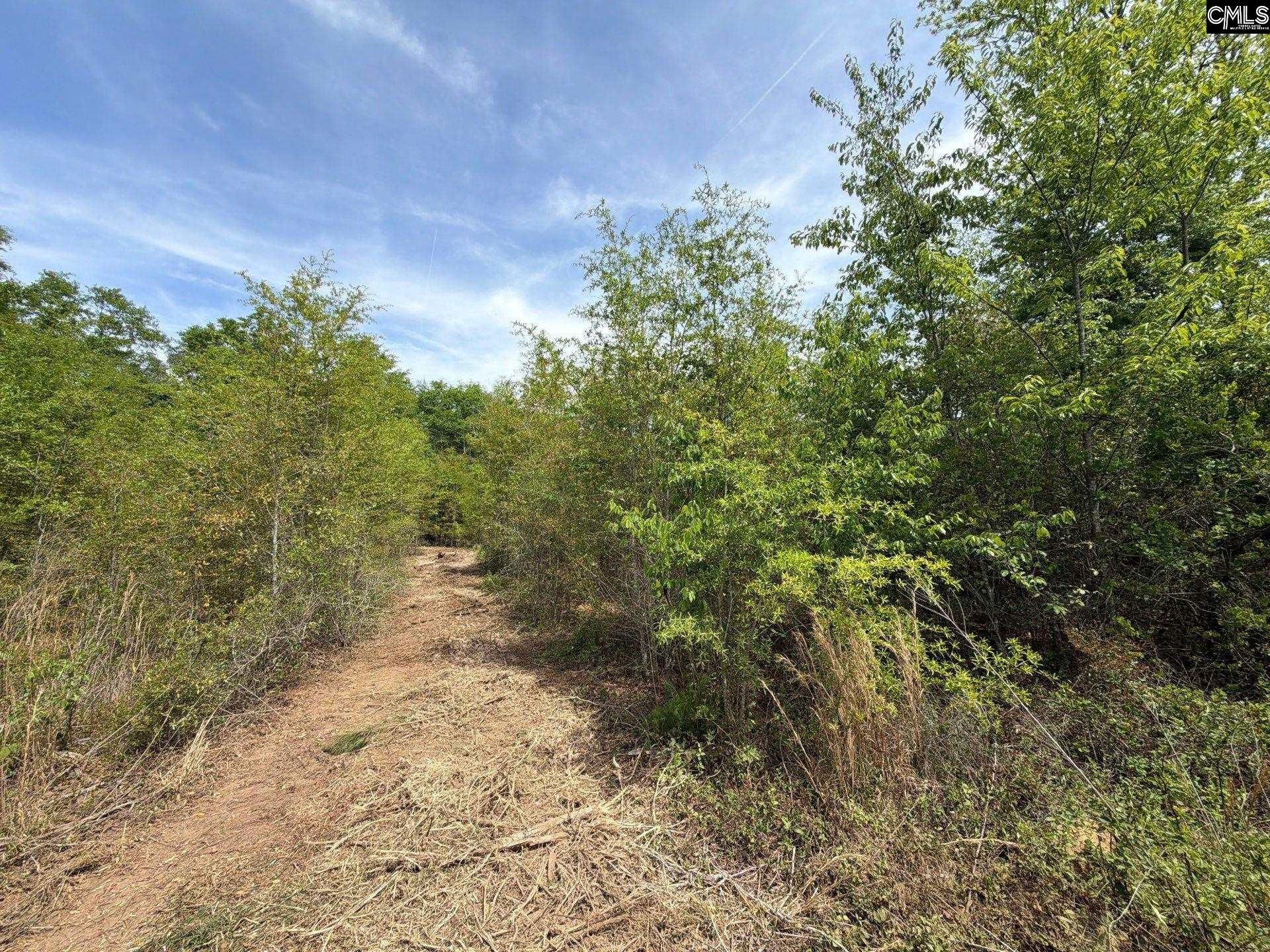 Rrf 5 Rogers Cemetery Road  Photo 22