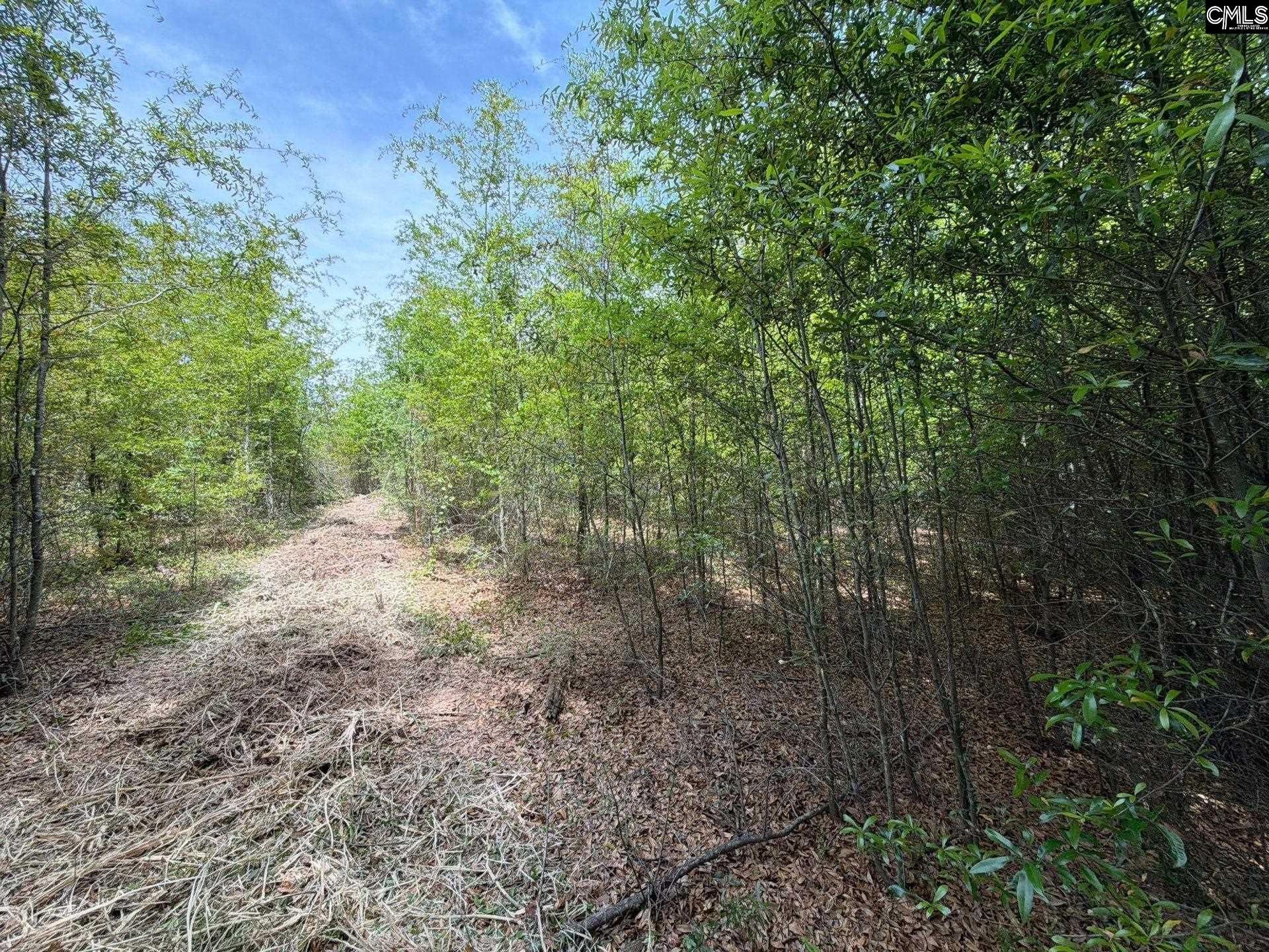 Rrf 5 Rogers Cemetery Road  Photo 23