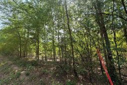 Rrf 5 Rogers Cemetery Road  photo 4