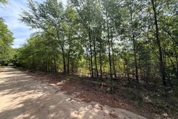 Rrf 5 Rogers Cemetery Road  photo 4