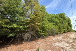 Rrf 5 Rogers Cemetery Road  photo 4