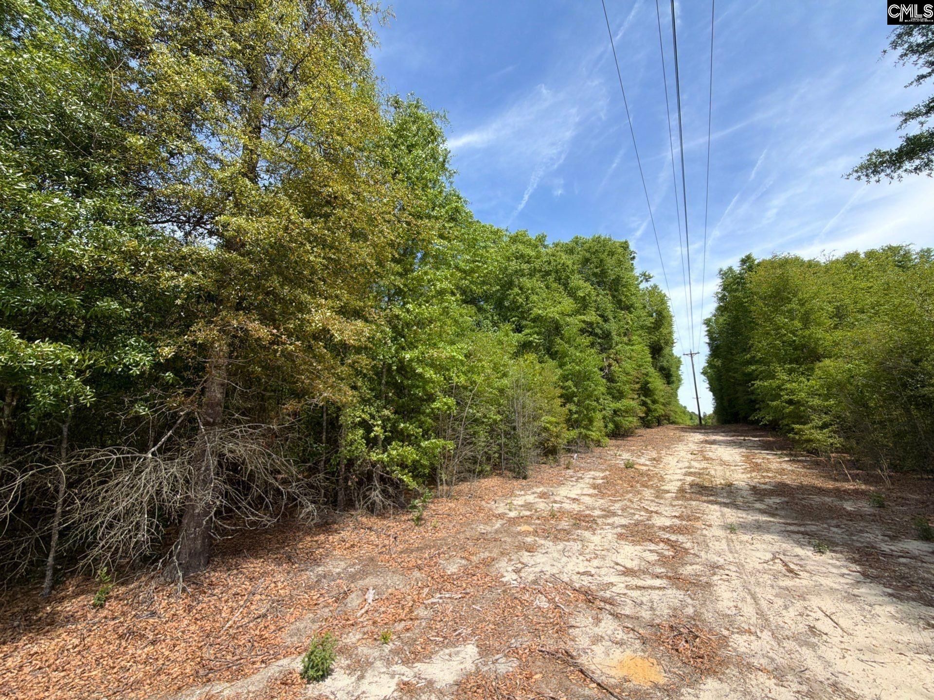 Rrf 5 Rogers Cemetery Road  Photo 6