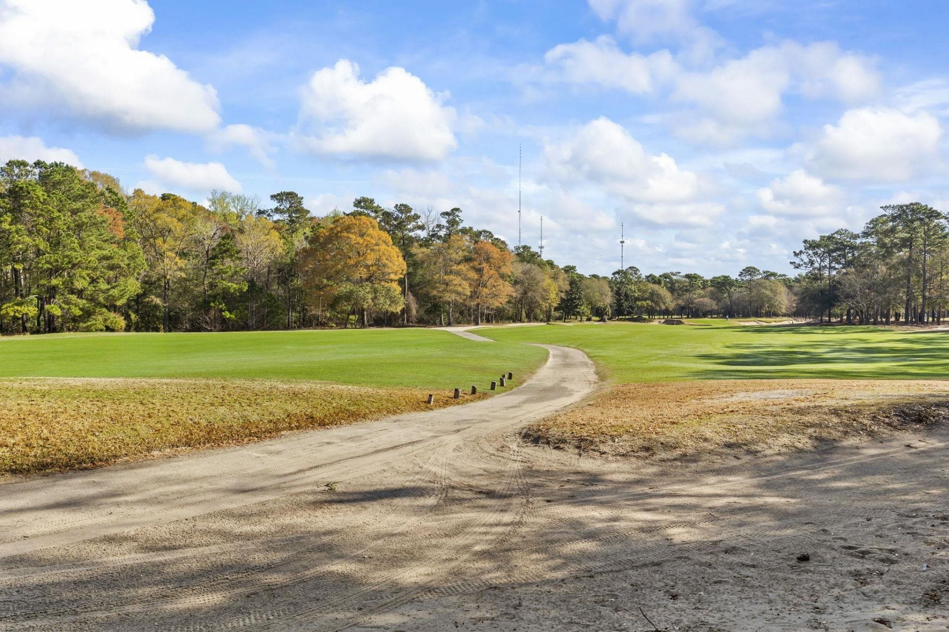 598 Blue Stem Dr.  Photo 29