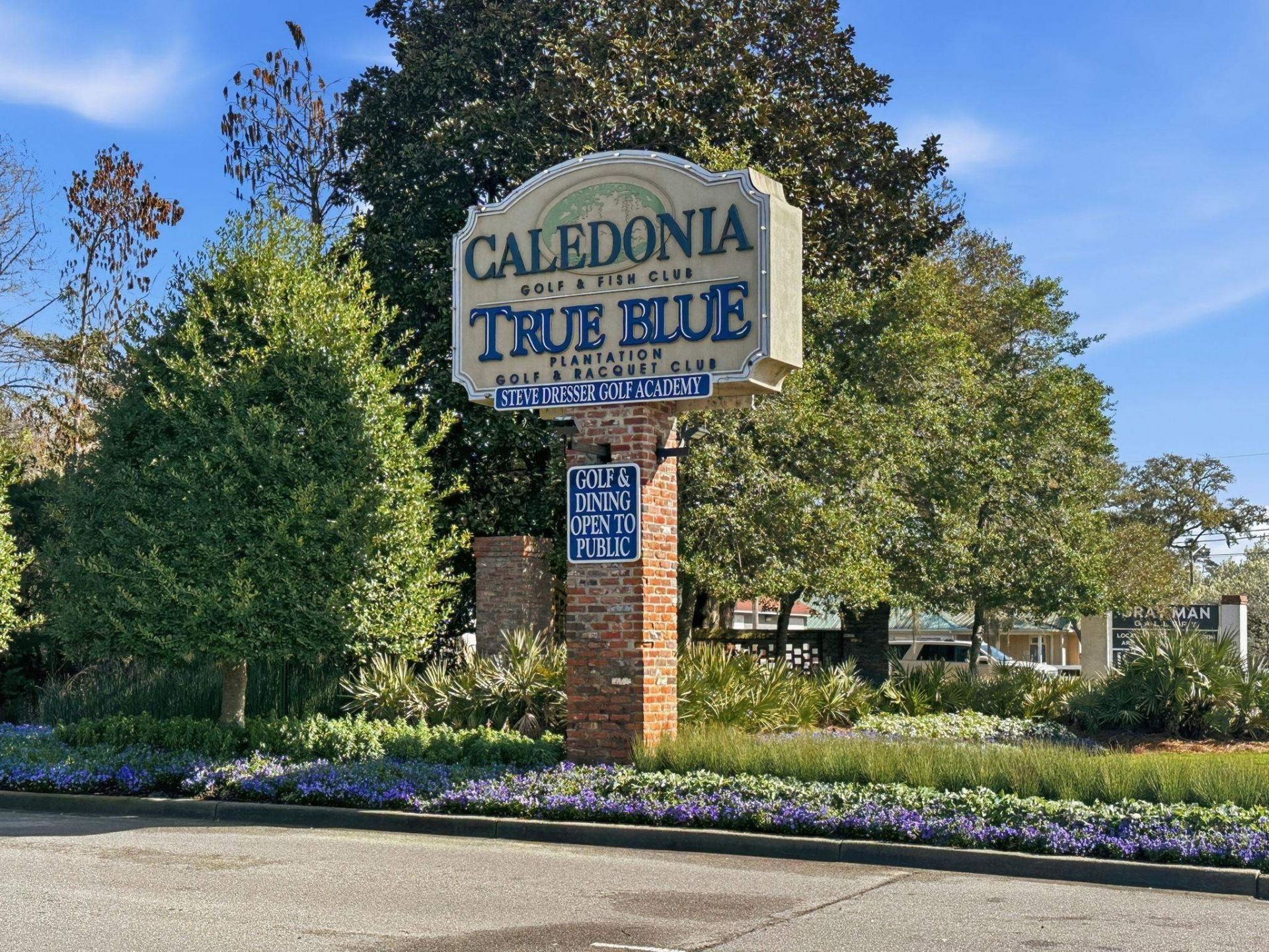 598 Blue Stem Dr.  Photo 39