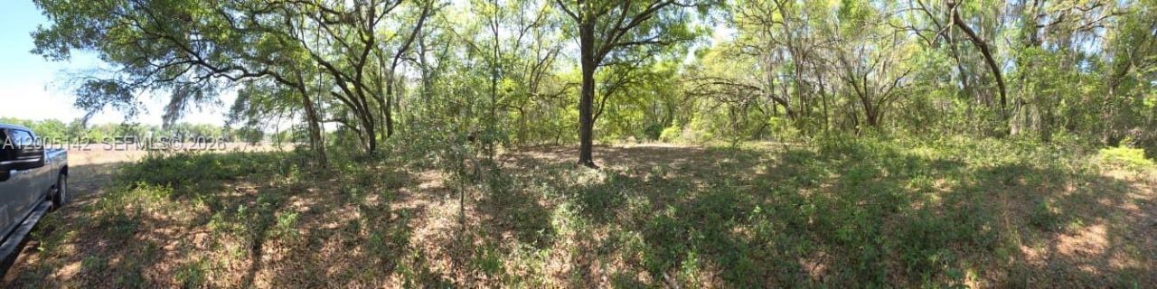 0 SE 225th Dr , Hawthorne, FL 32640 Photo