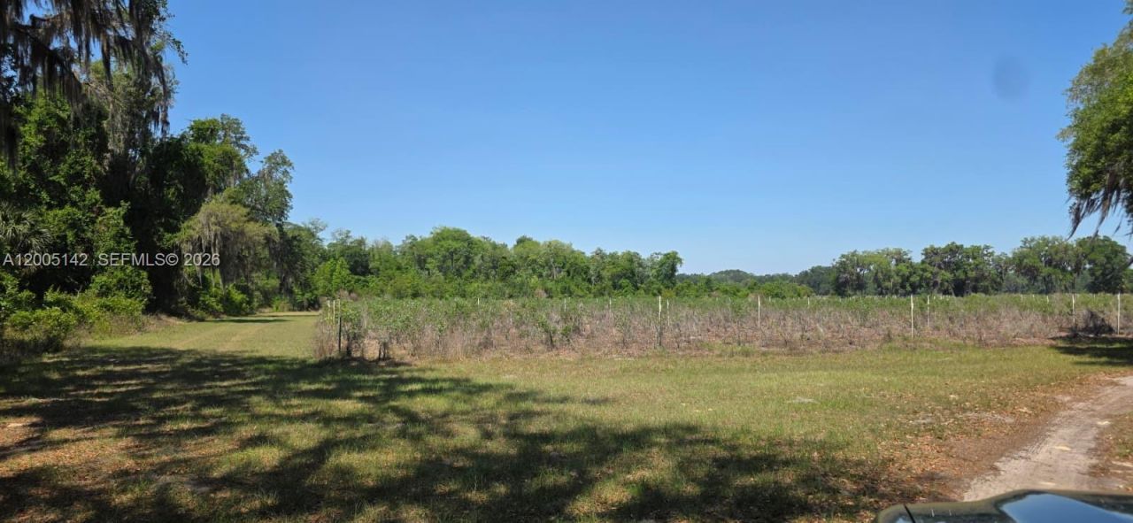 0 SE 225th Dr , Hawthorne, FL 32640 Photo