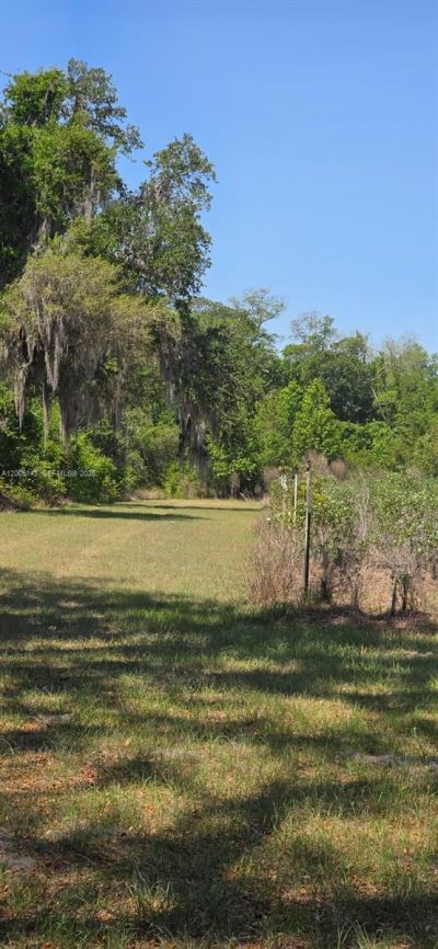 0 SE 225th Dr , Hawthorne, FL 32640 Photo