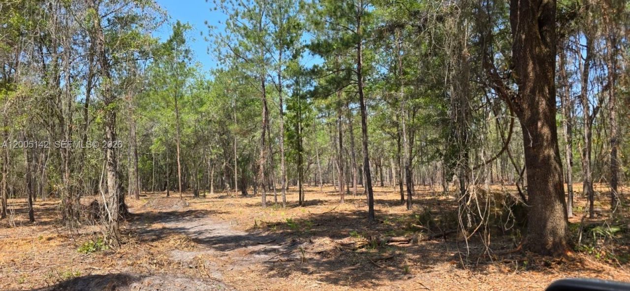 0 SE 225th Dr , Hawthorne, FL 32640 Photo