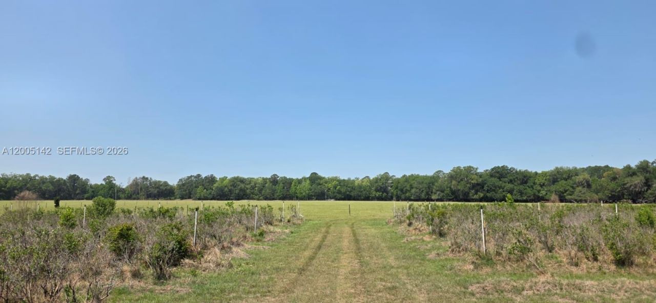 0 SE 225th Dr , Hawthorne, FL 32640 Photo