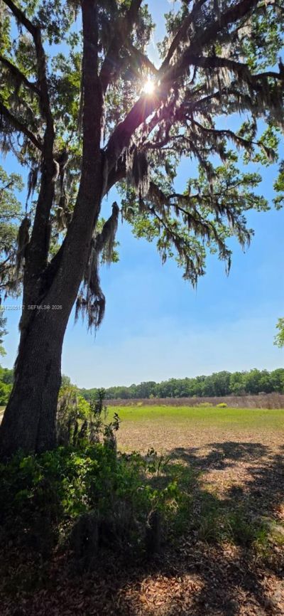 0 SE 225th Dr , Hawthorne, FL 32640 Photo