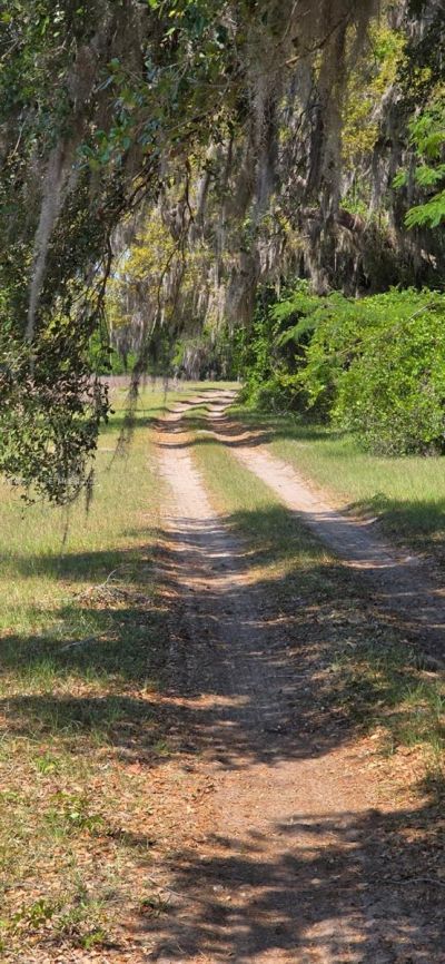 0 SE 225th Dr , Hawthorne, FL 32640 Photo