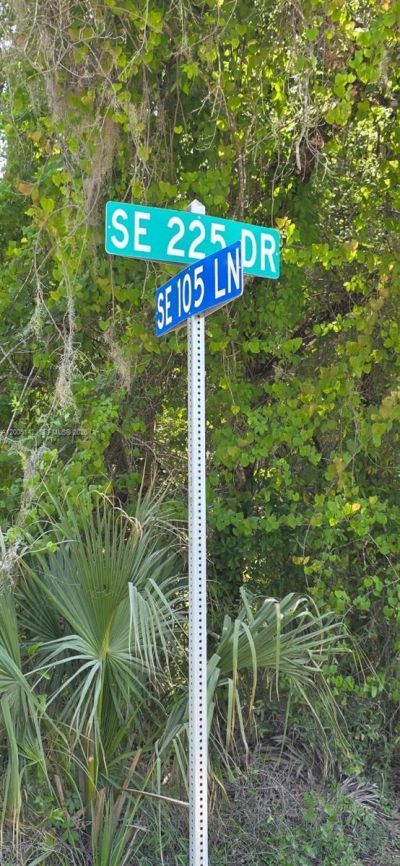 0 SE 225th Dr , Hawthorne, FL 32640 Photo